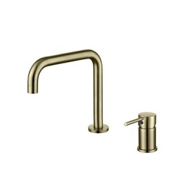 ST-02001BG-무광골드 투홀 매립수전