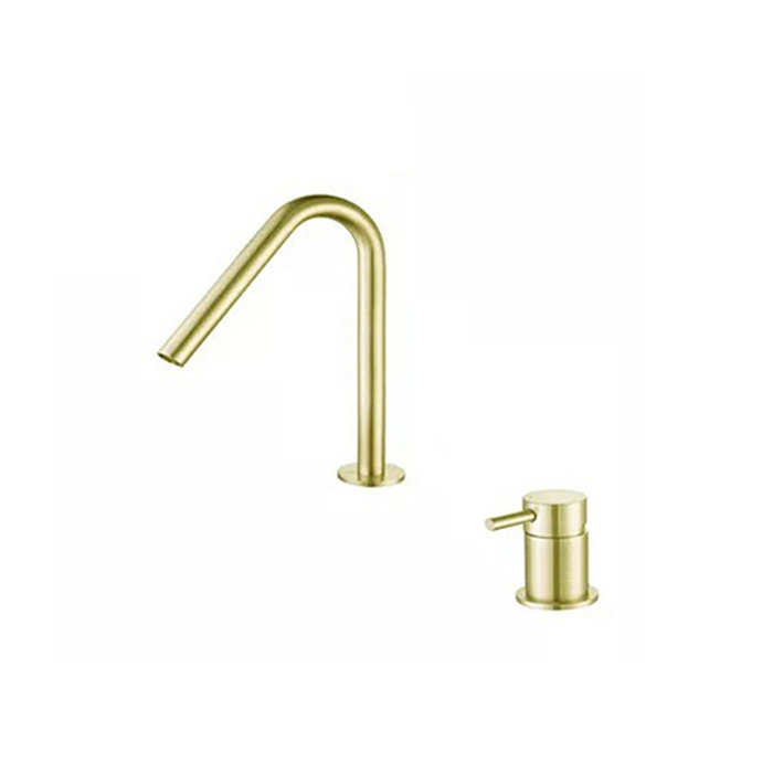 ST-02002BG-무광골드 투홀 매립수전