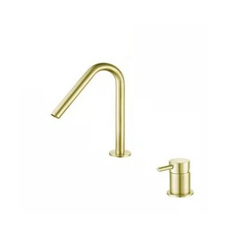 ST-02002BG-무광골드 투홀 매립수전